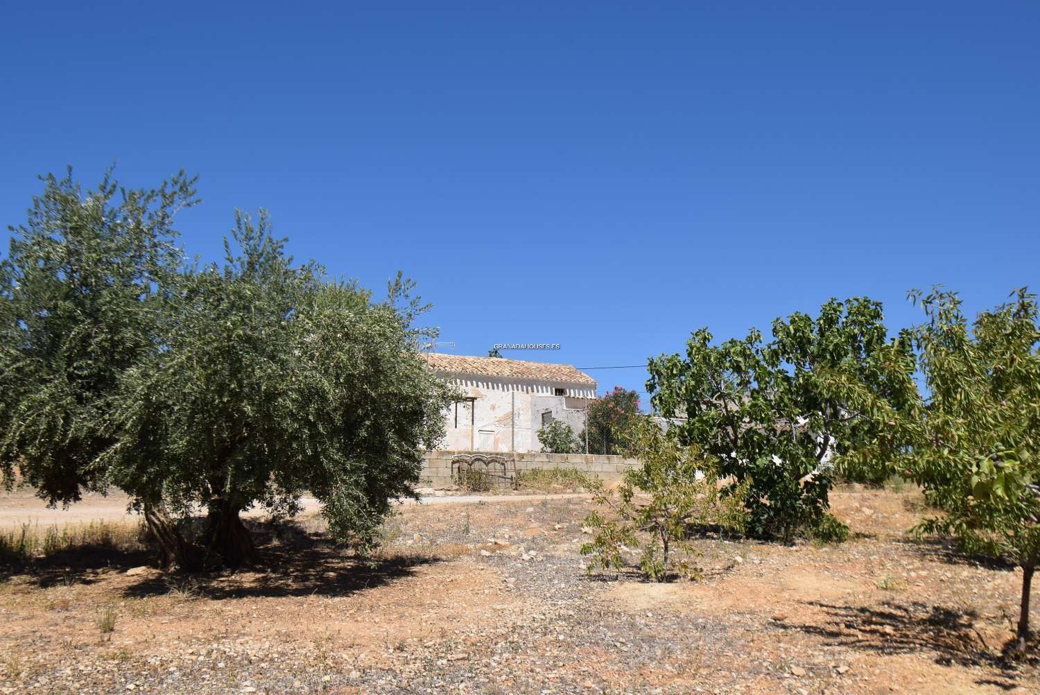 Ferme andalouse à réformer