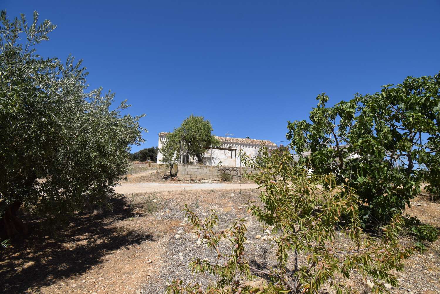 Andalusische boerderij om te hervormen