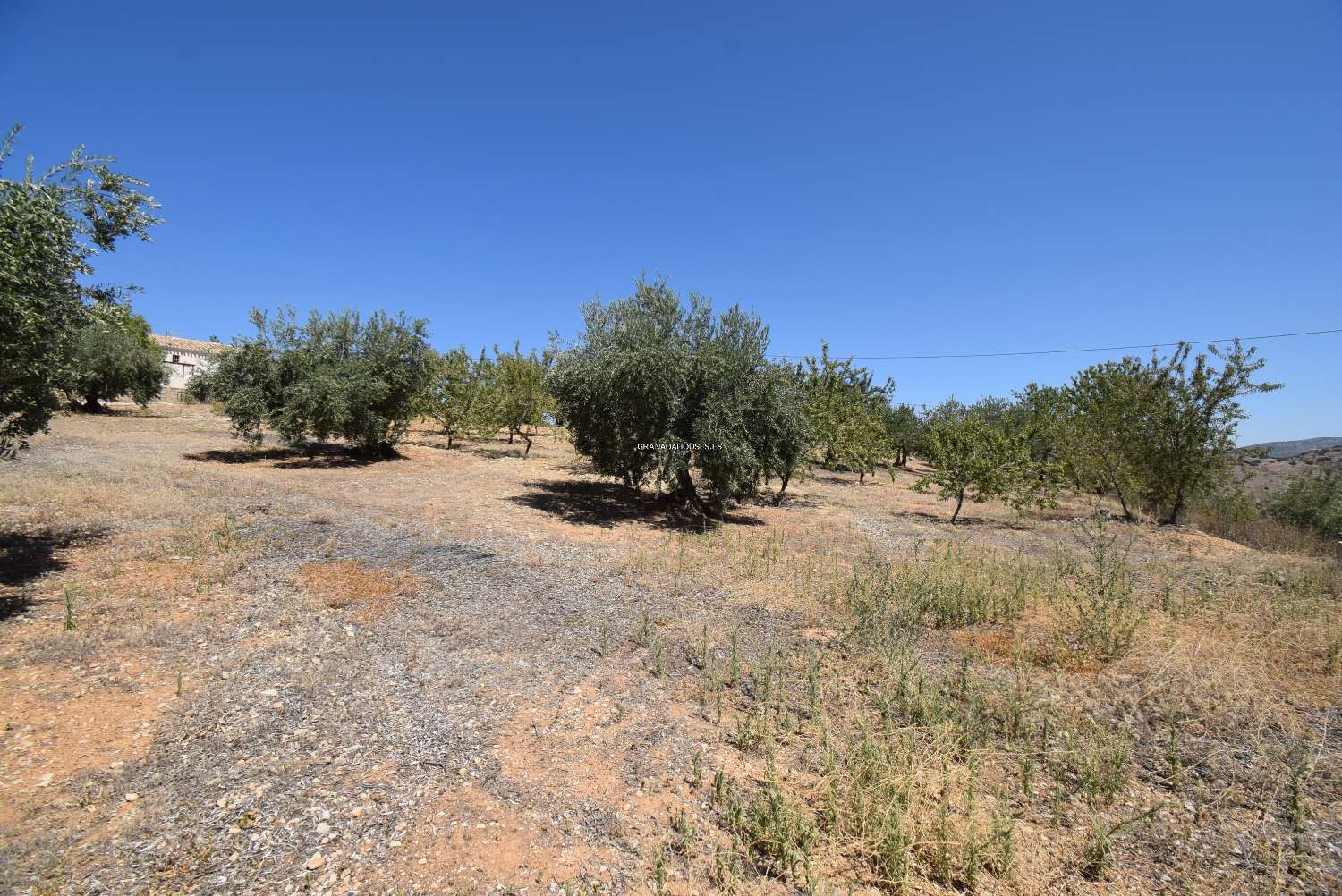 Andalusische boerderij om te hervormen