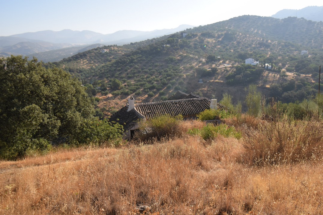 BEAUTIFUL TYPICAL ANDALUSIAN FARMHOUSE TO RESTORE