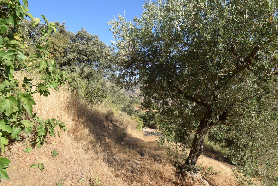 SCHÖNES TYPISCHES ANDALUSISCHES BAUERNHAUS ZUM WIEDERHERSTELLEN