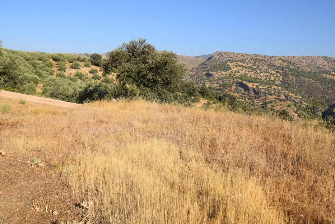 MOOIE TYPISCHE ANDALUSISCHE BOERDERIJ OM TE HERSTELLEN