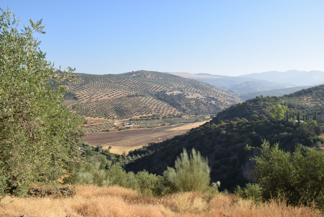 MOOIE TYPISCHE ANDALUSISCHE BOERDERIJ OM TE HERSTELLEN