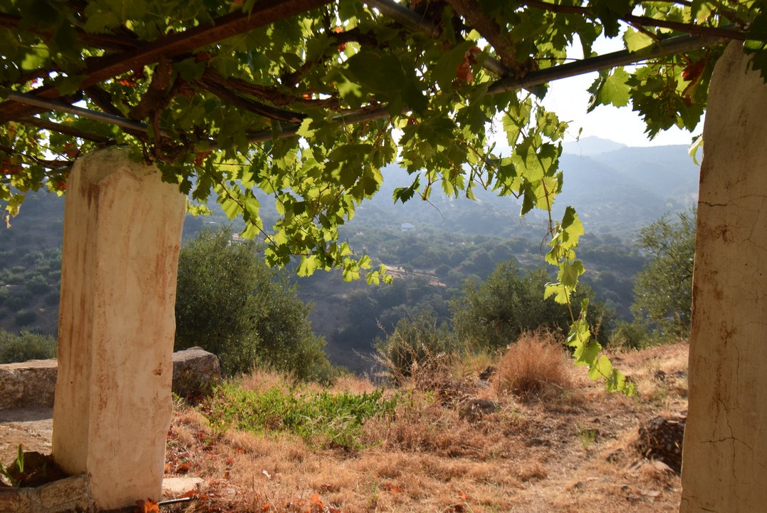 BEAUTIFUL TYPICAL ANDALUSIAN FARMHOUSE TO RESTORE