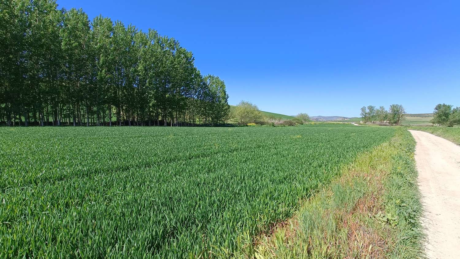 Grande maison de campagne à rénover avec beaucoup de potentiel