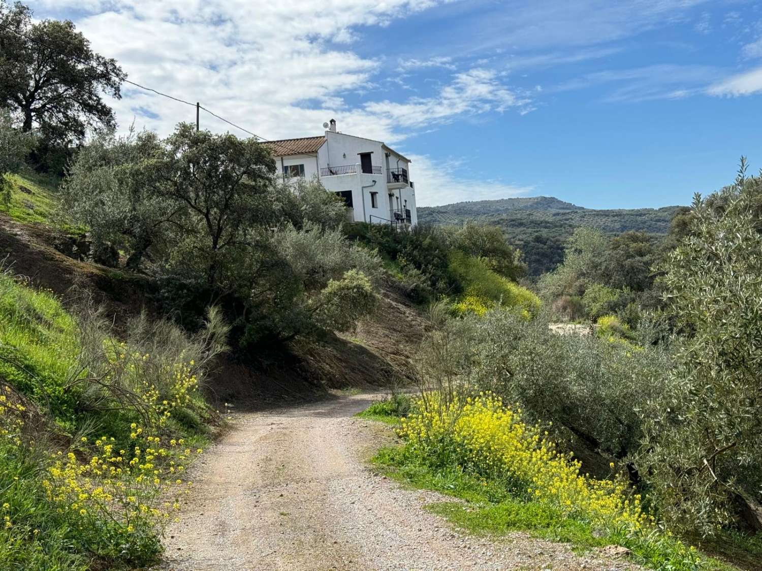 Gran casa de campo con piscina en un paraje natural bonito y tranquilo