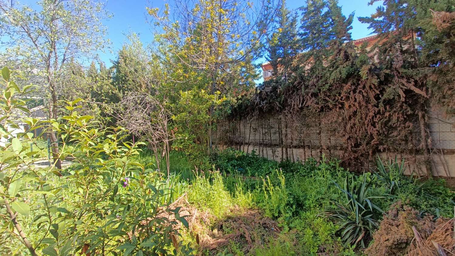 Estupenda casa independiente con piscina, jardín, garaje y almacenes