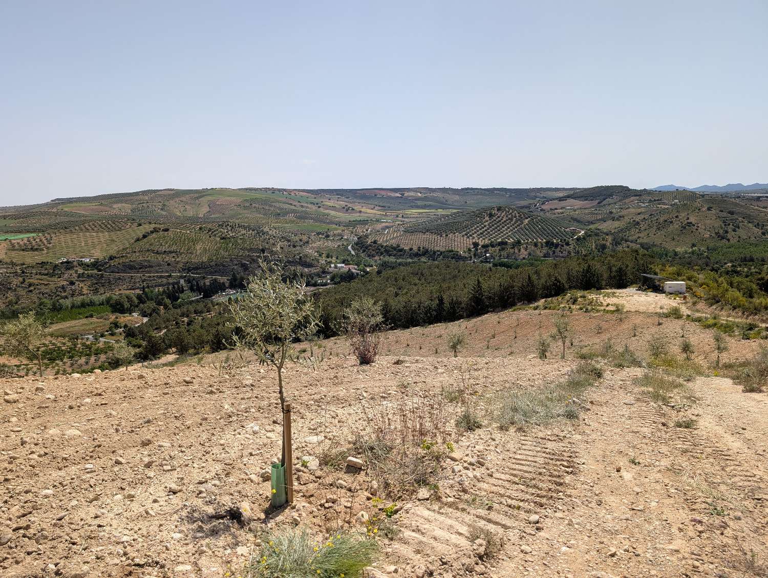 Domain en vente à Alhama de Granada