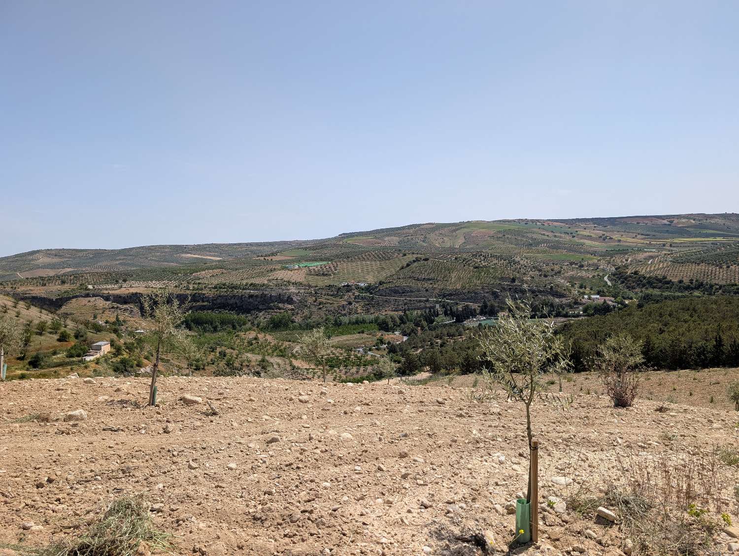 Domain en vente à Alhama de Granada