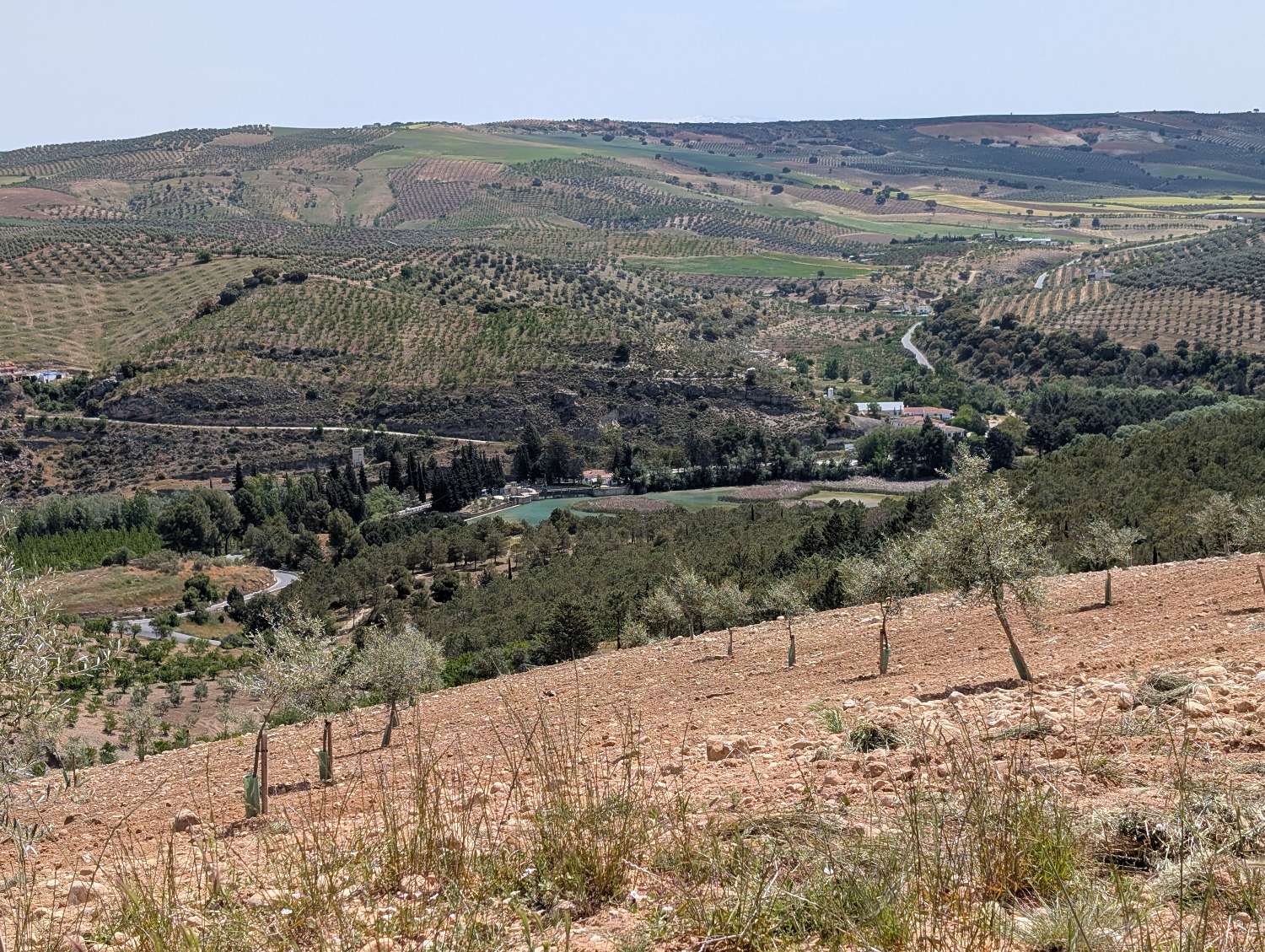 Domain en vente à Alhama de Granada