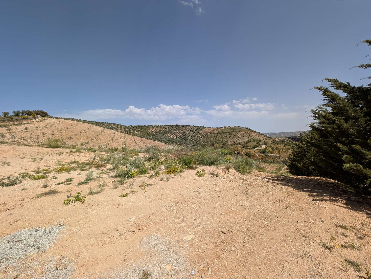 Domain en vente à Alhama de Granada