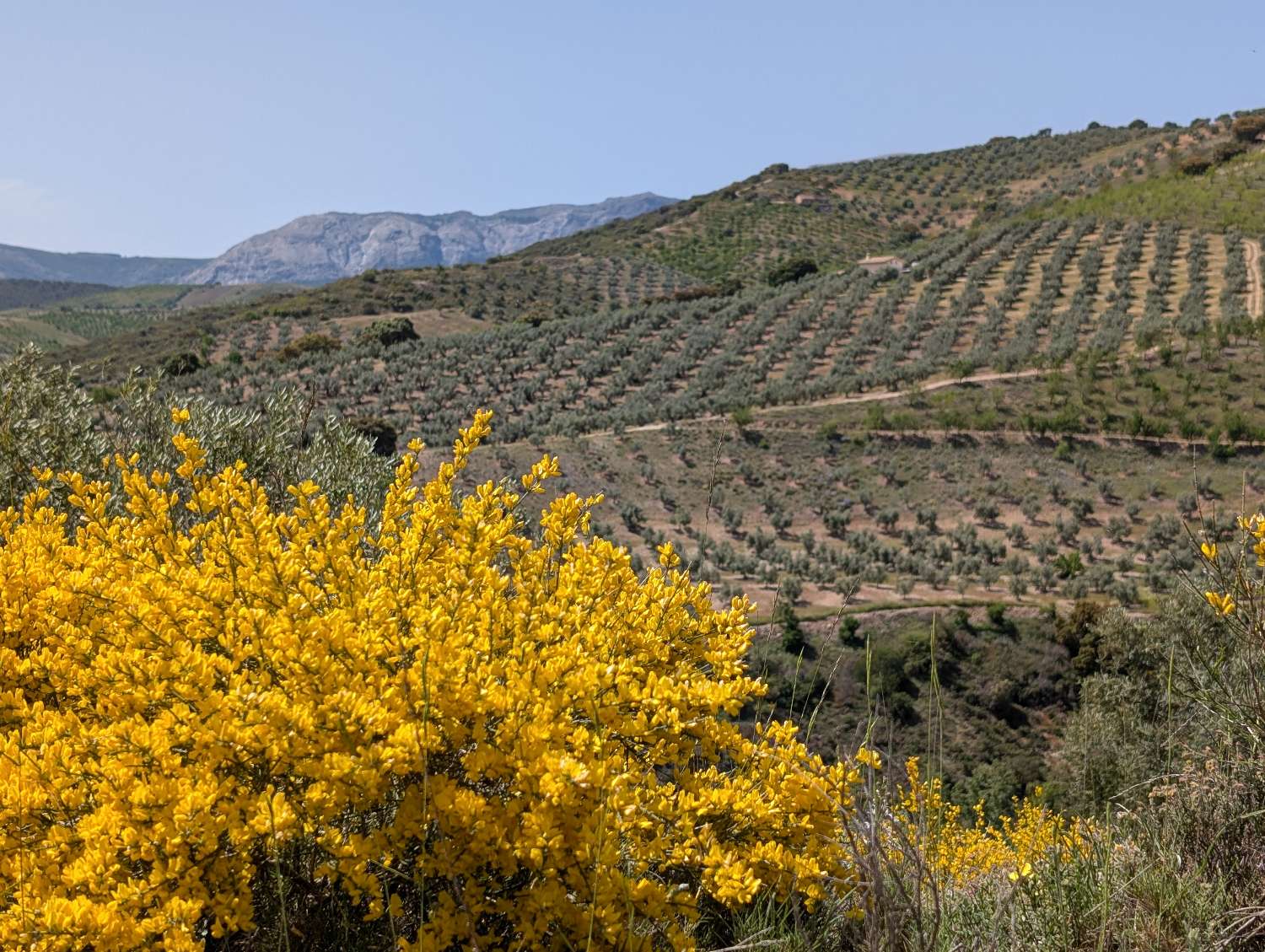 Domain en vente à Alhama de Granada