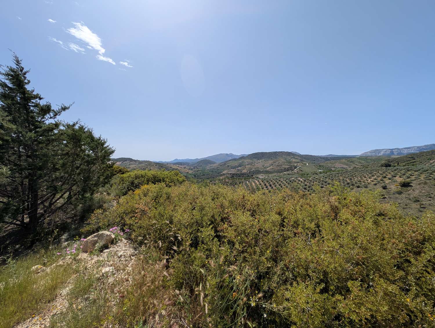 Domain en vente à Alhama de Granada