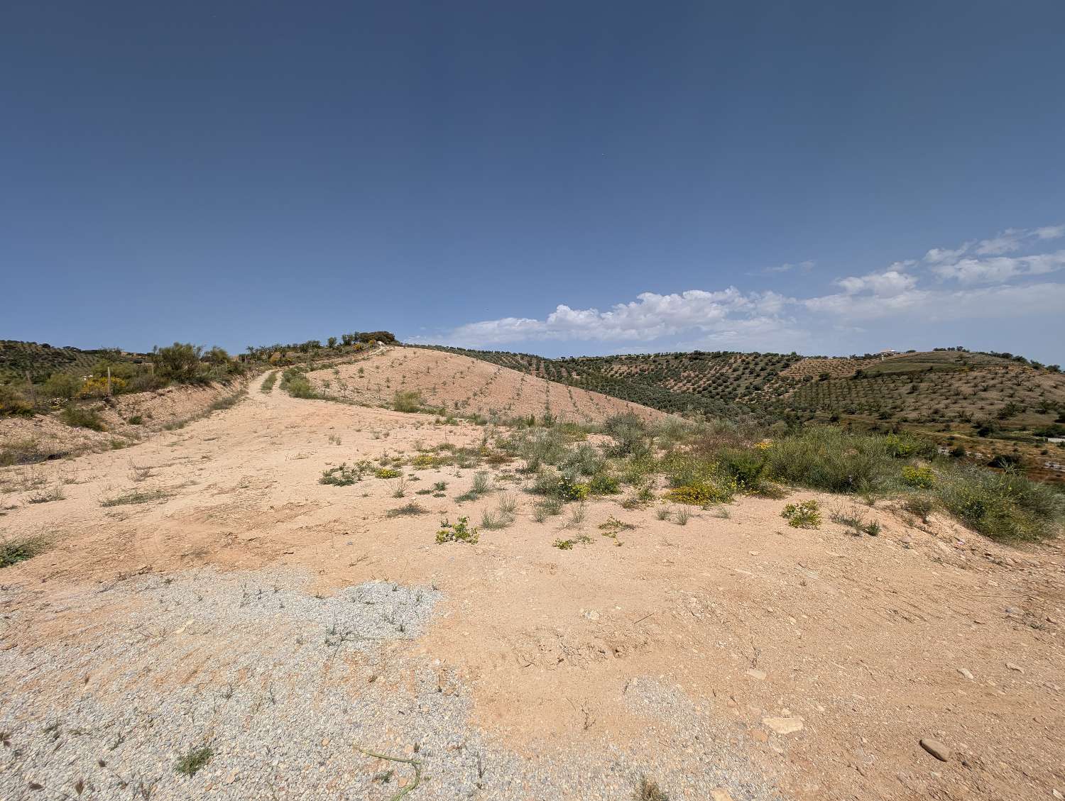 Domain en vente à Alhama de Granada