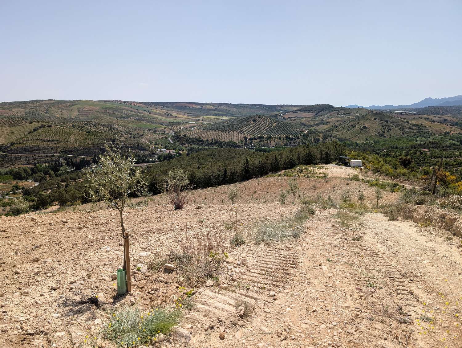 Domain en vente à Alhama de Granada
