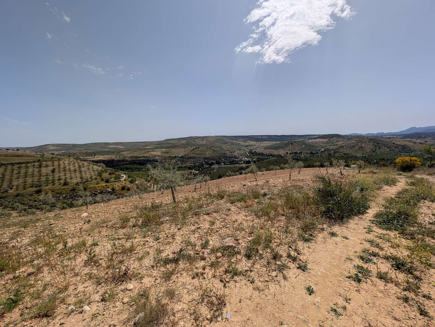 Domain en vente à Alhama de Granada