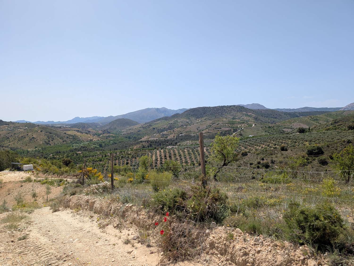 Domain en vente à Alhama de Granada