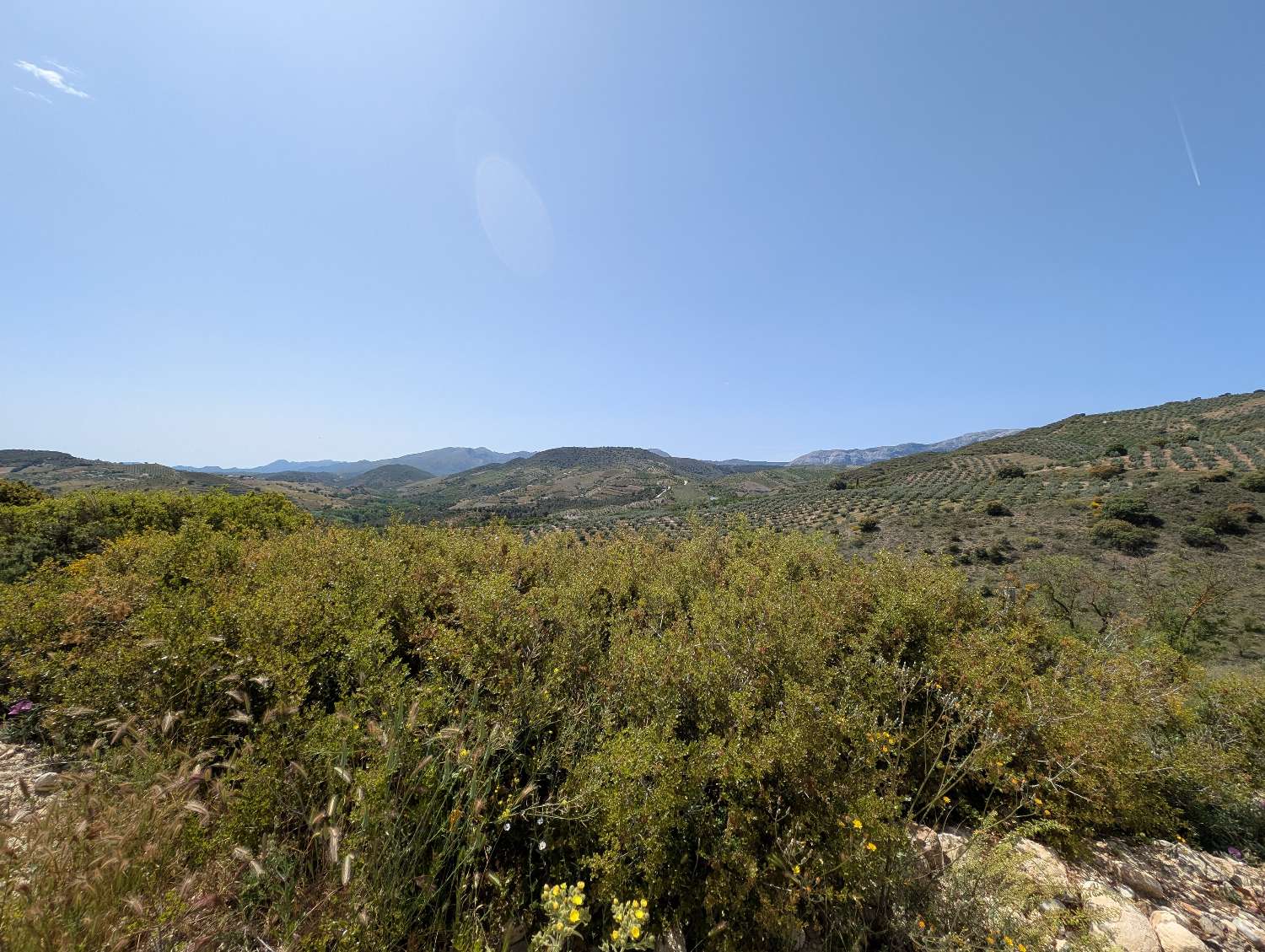 Domain en vente à Alhama de Granada