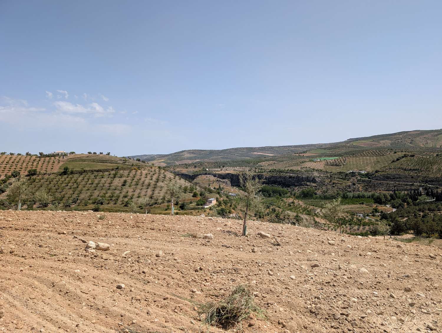 Domain en vente à Alhama de Granada