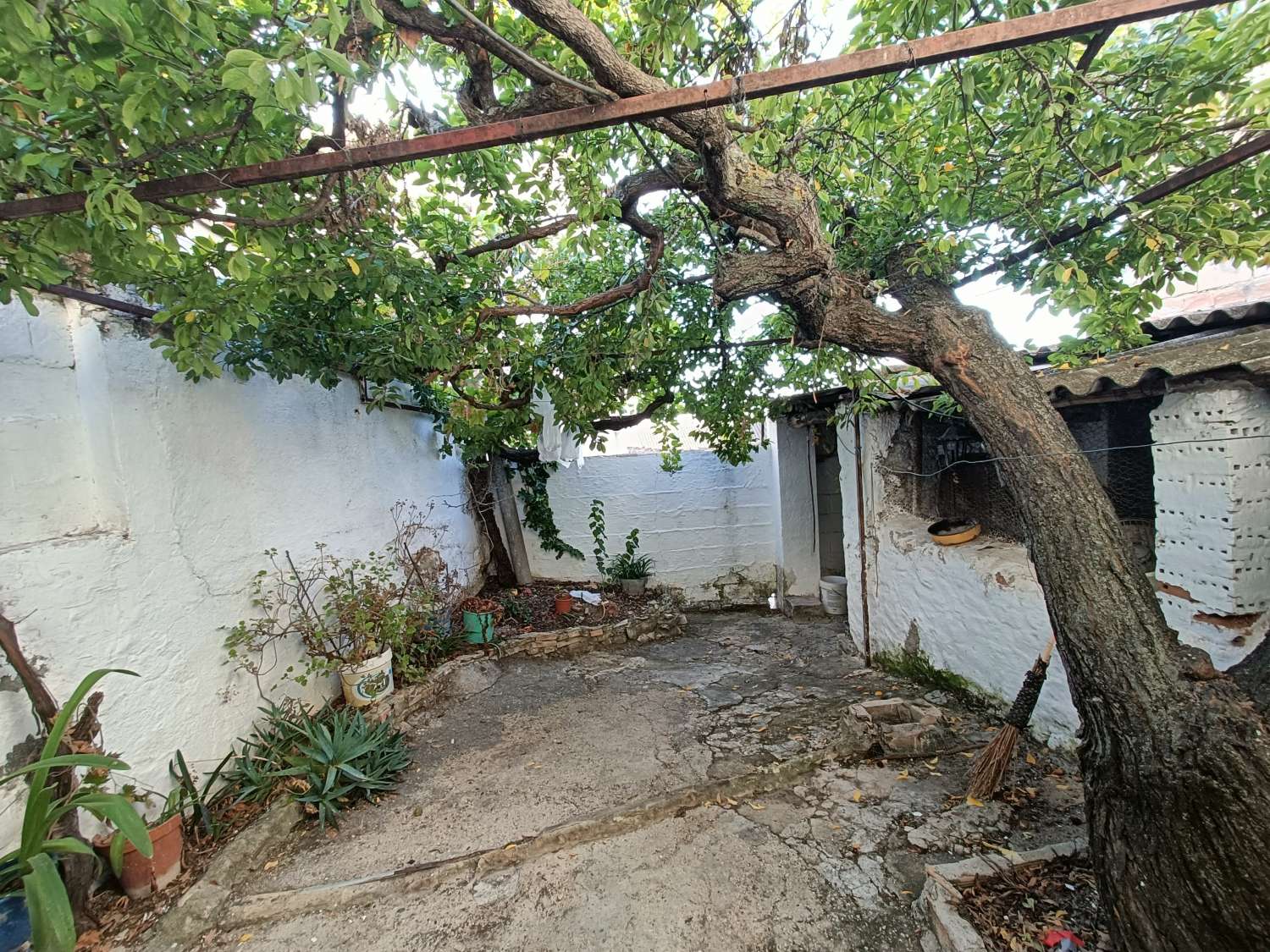 Dom na sprzedaż w Íllora