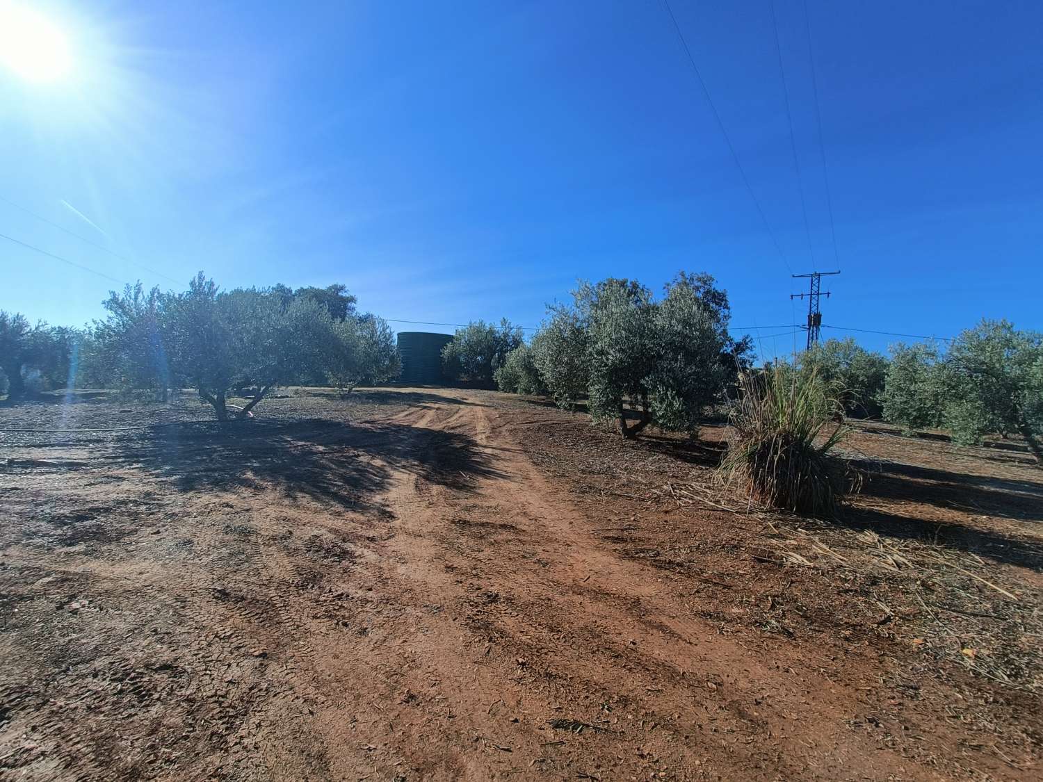 Woning te koop in Íllora