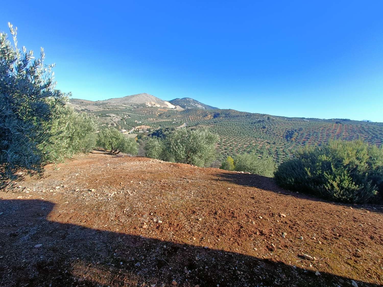 Woning te koop in Íllora