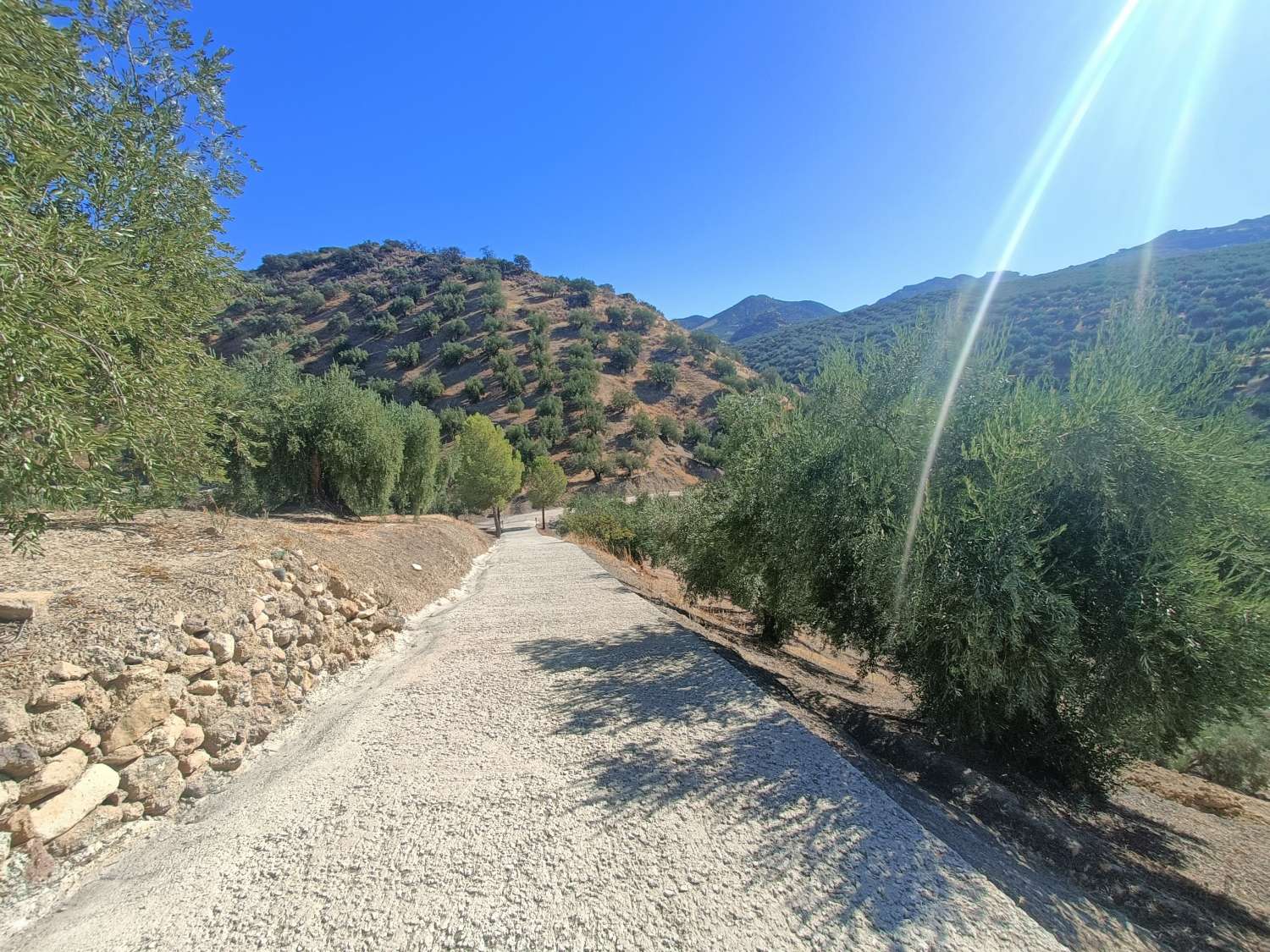 Traditional farmhouse for renovation