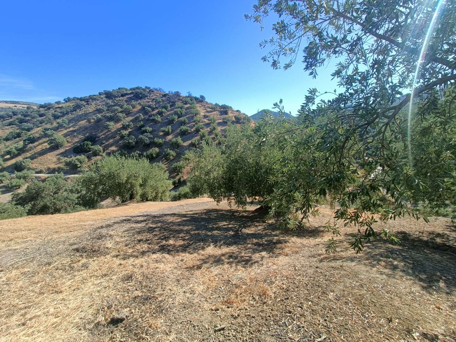 Traditional farmhouse for renovation