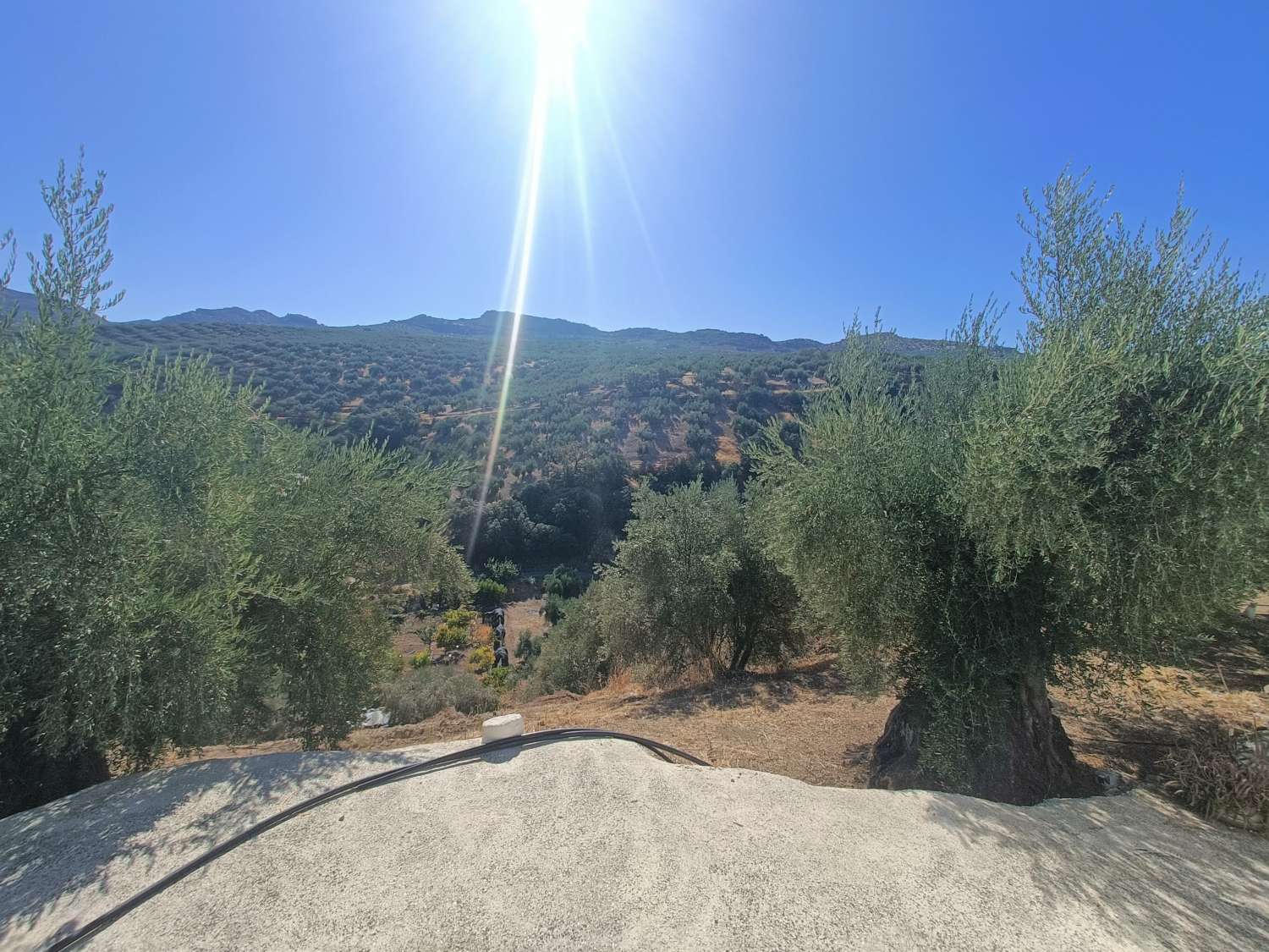 Traditional farmhouse for renovation