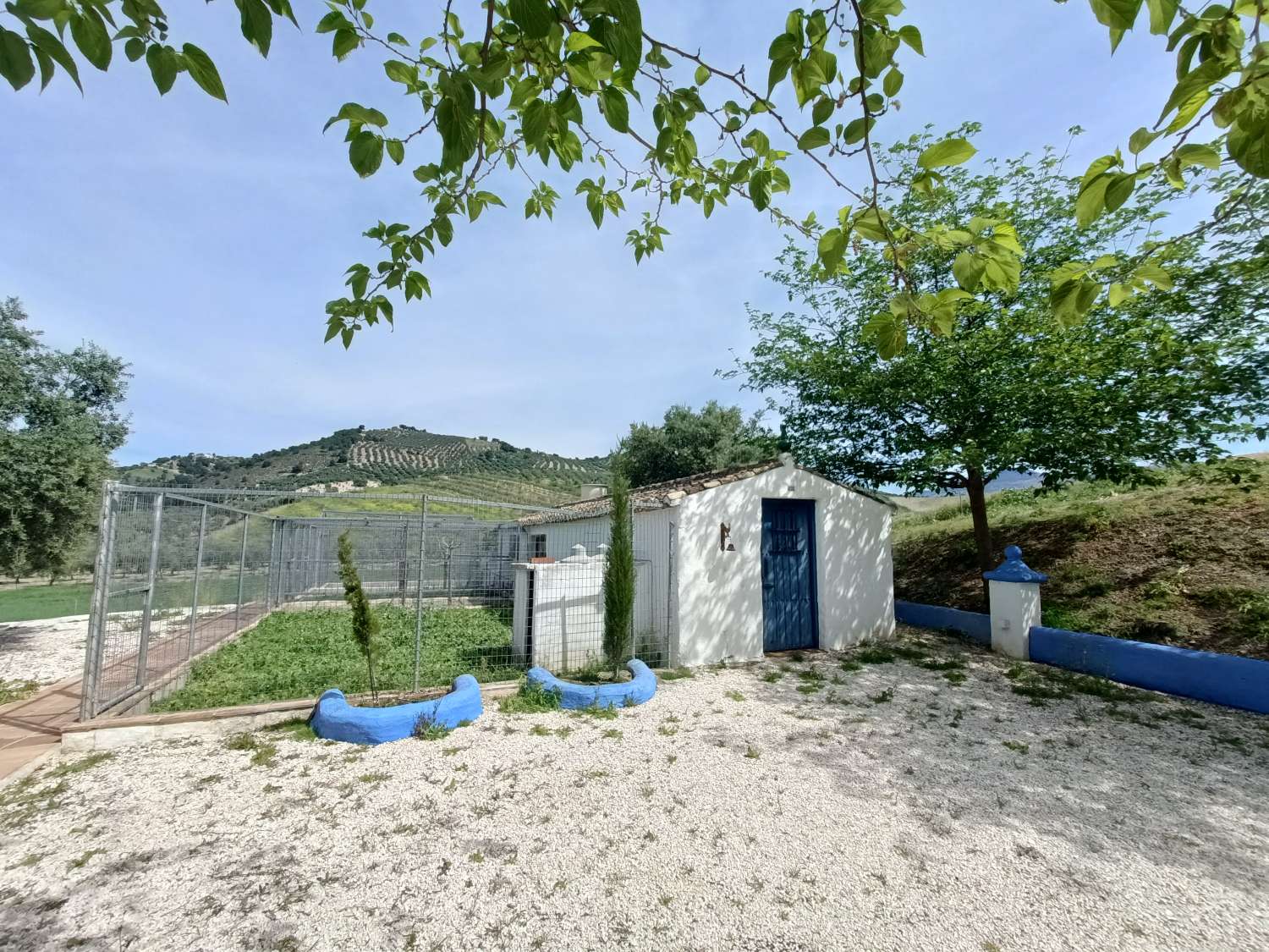Hus till salu i Villanueva de Mesía