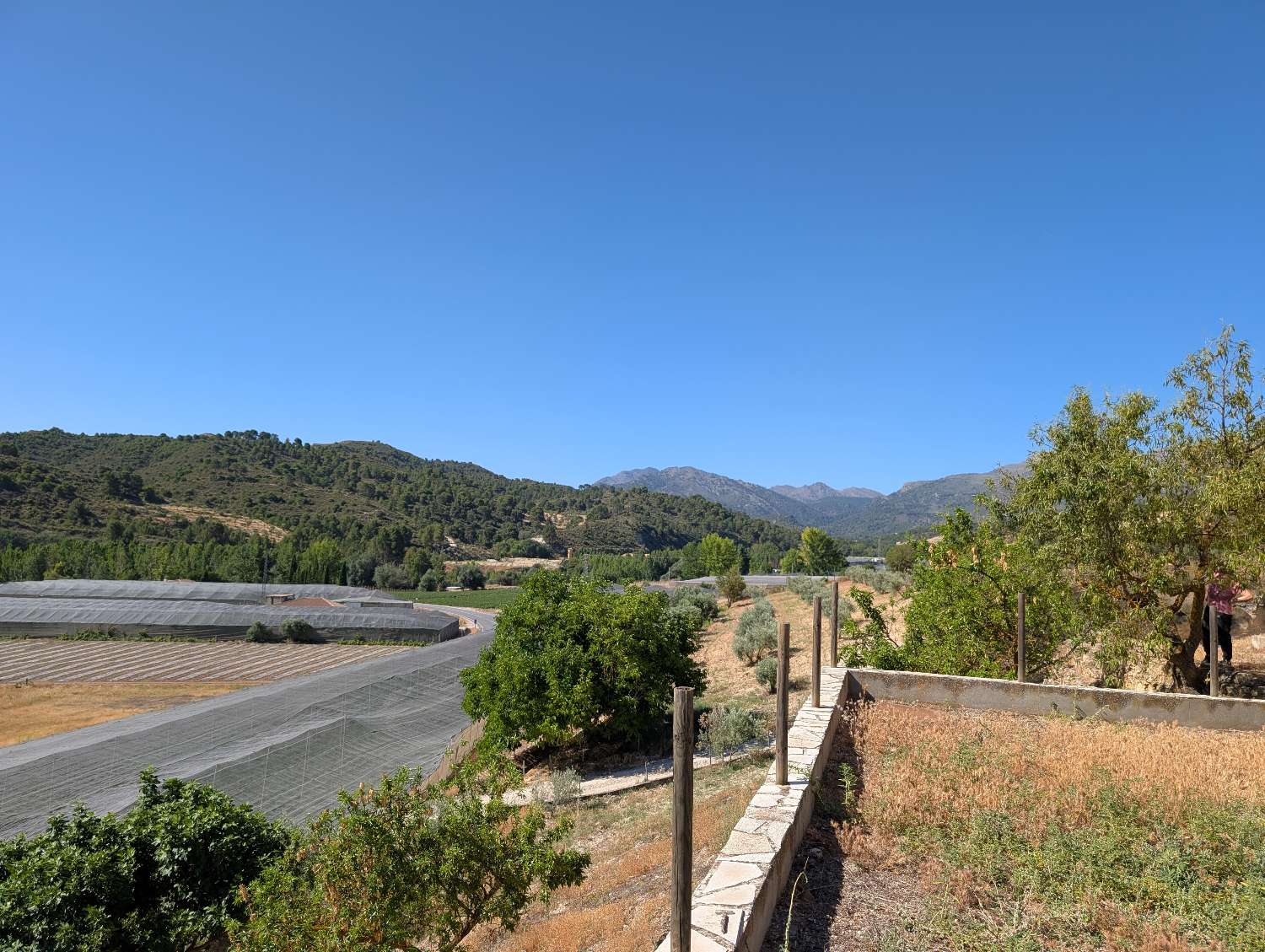 Lovely country house with large plot of land and fantastic views