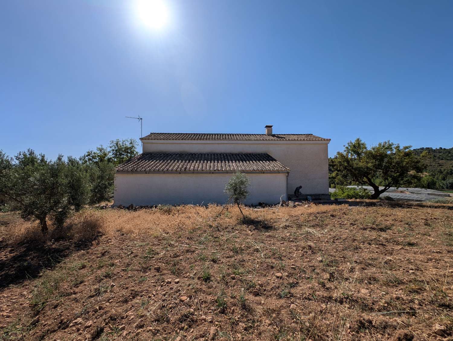 Lovely country house with large plot of land and fantastic views