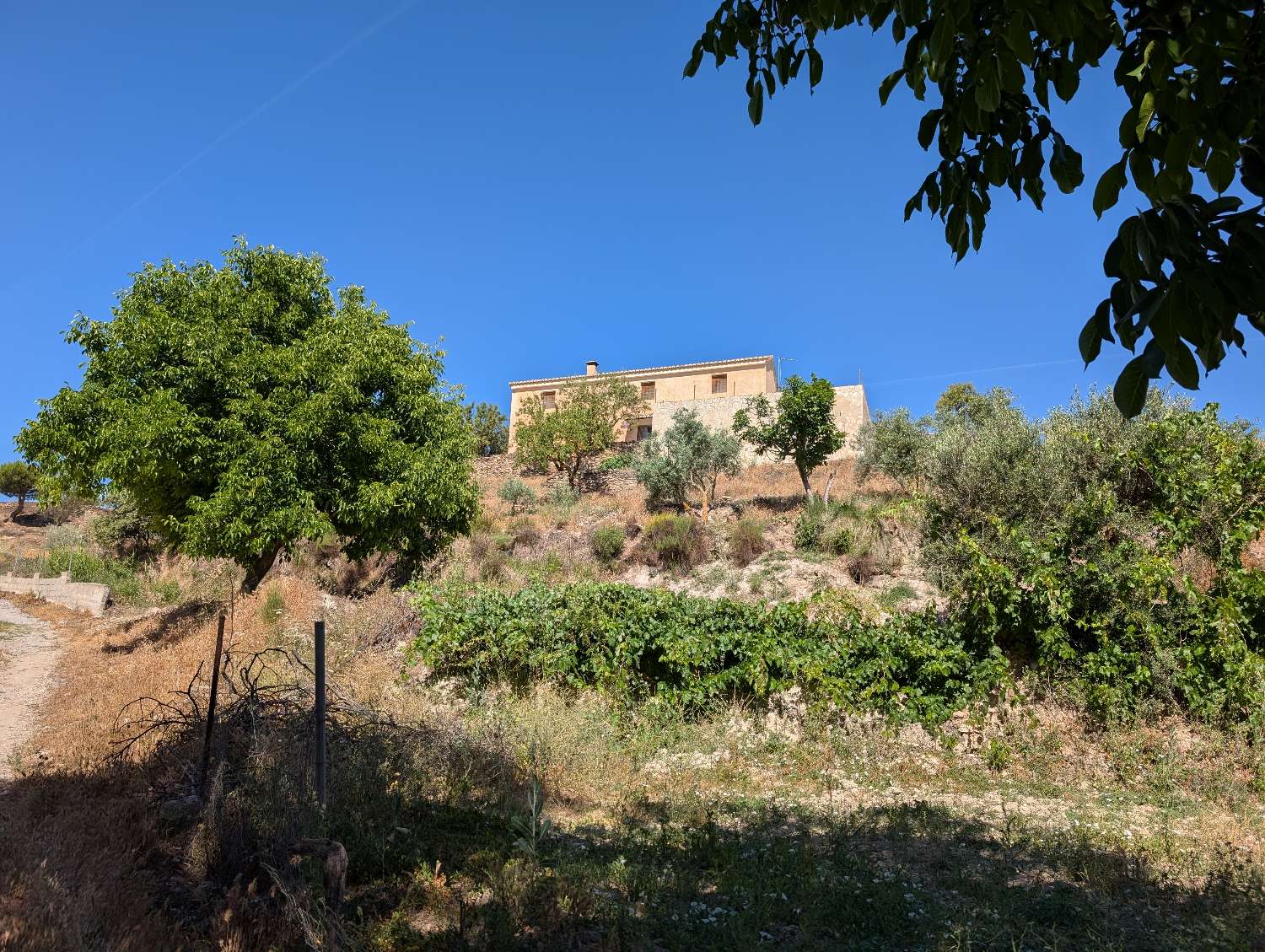 Lovely country house with large plot of land and fantastic views