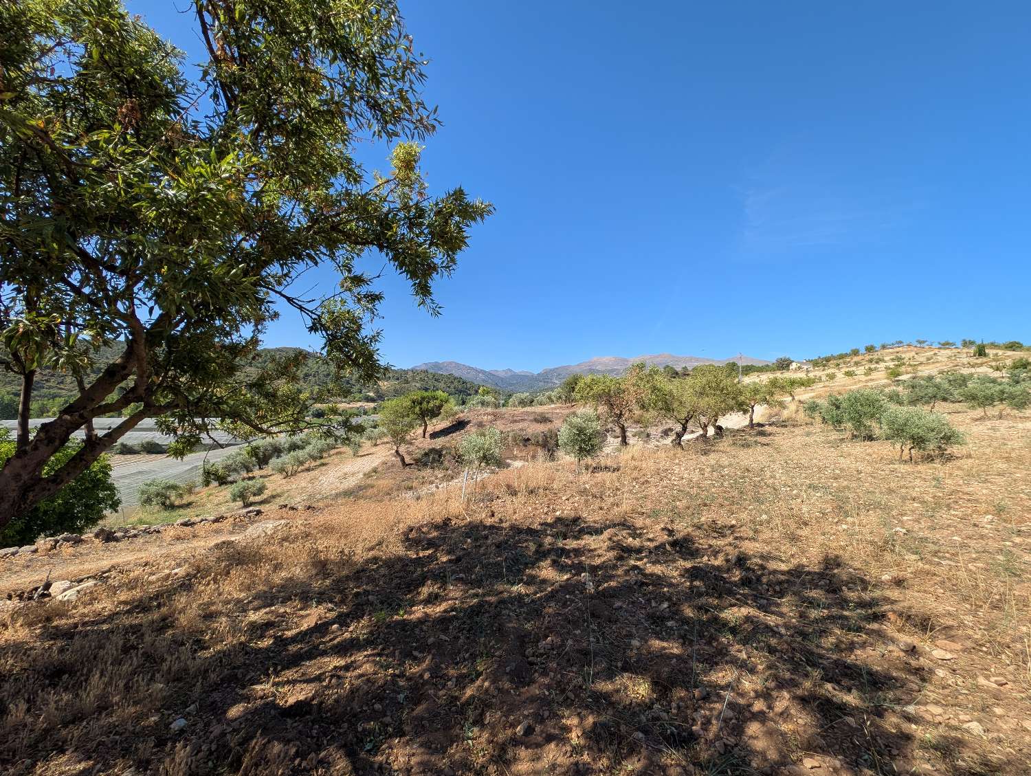Lovely country house with large plot of land and fantastic views