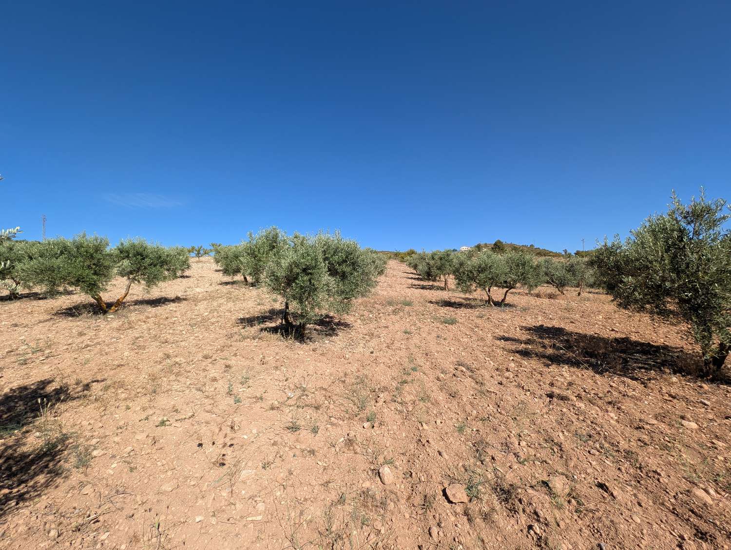 Lovely country house with large plot of land and fantastic views