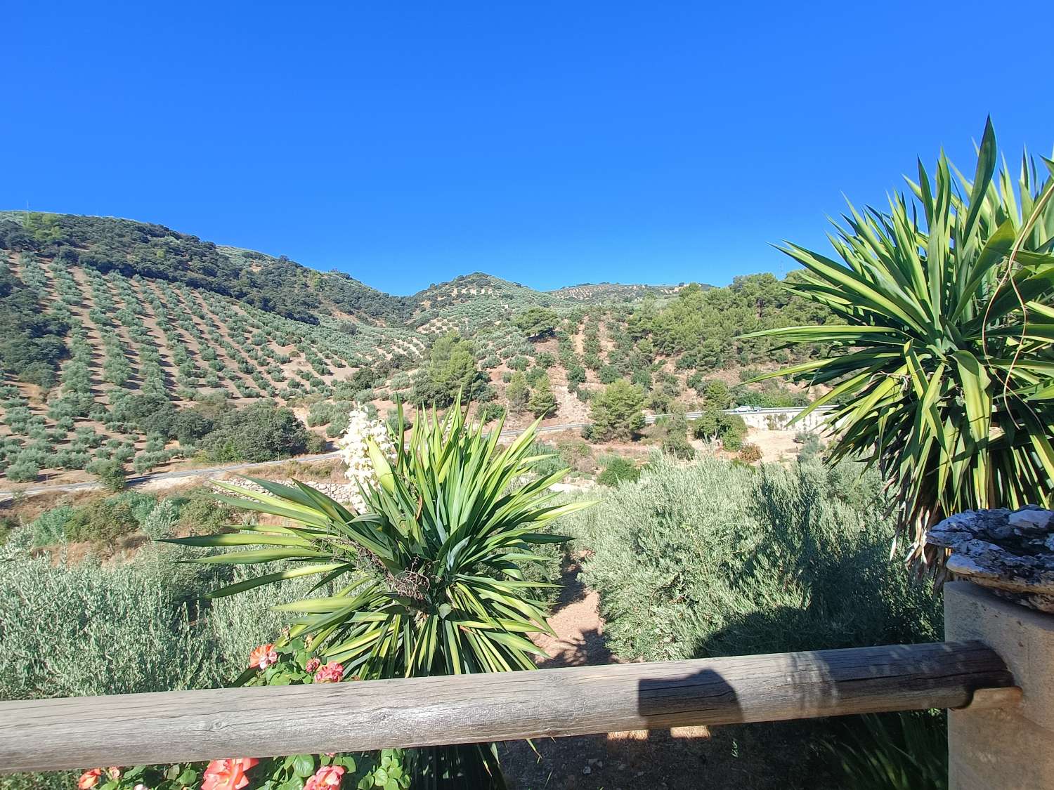 Casa in vendita a Montefrío