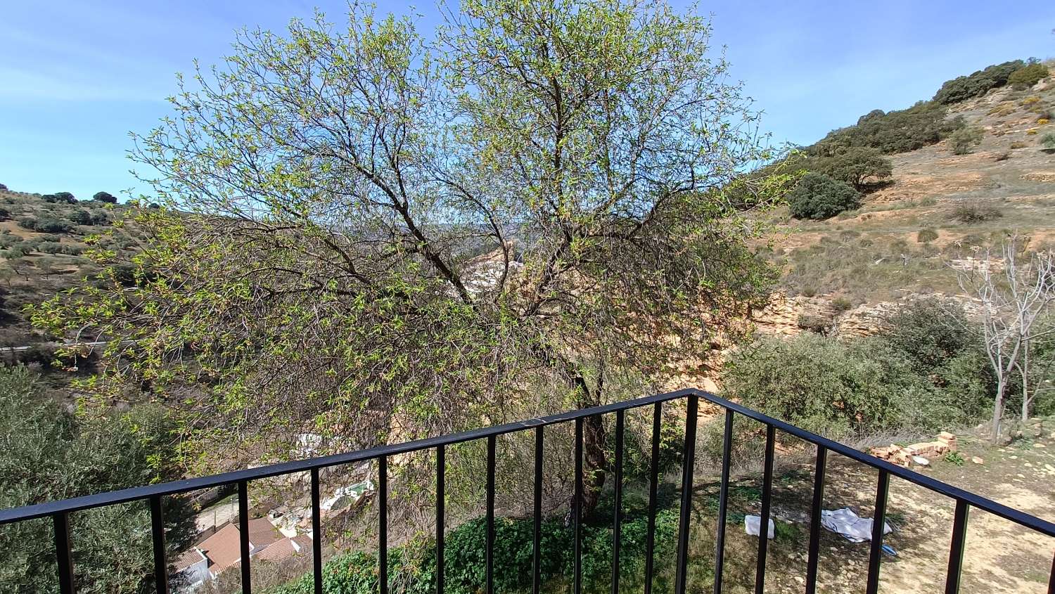 IDEAL CORTIJO POUR L'ACCOMMODATION RURAL AVEC MONTEFRIO VIEW