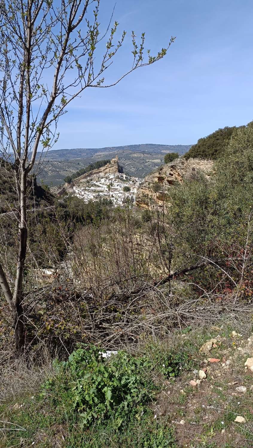 CORTIJO IDEAL PARA ALOJAMIENTO RURAL CON ESPECTACUALRES VISTA A MONTEFRIO