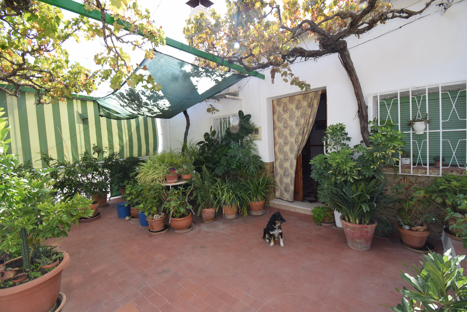 Casa independiente con parcela,  edificaciones y vistas espectaculares